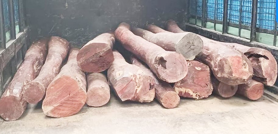 ರಕ್ತ ಚಂದನ ಬೆಳೆ ಸಂರಕ್ಷಣೆಗೆ ನೆರವು: ಐದು ರಾಜ್ಯಗಳಿಗೆ ₹6.2 ಕೋಟಿ