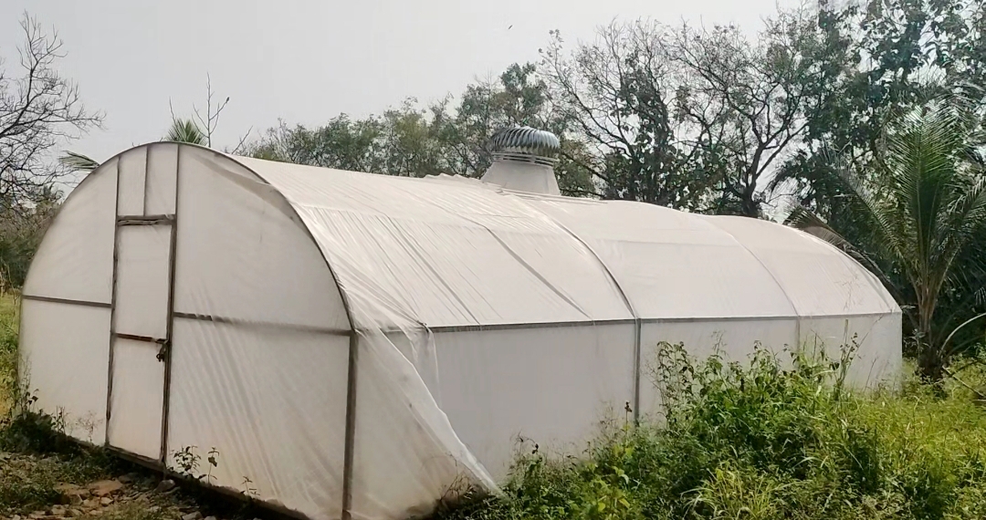 ಅಡುಗೆ ಎಣ್ಣೆ ಶುದ್ಧೀಕರಣಕ್ಕೆ ಉಪಯೋಗಿಸುವ ಸೋಲಾರ್ ಡ್ರೈಯರ್ ಟೆಂಟ್