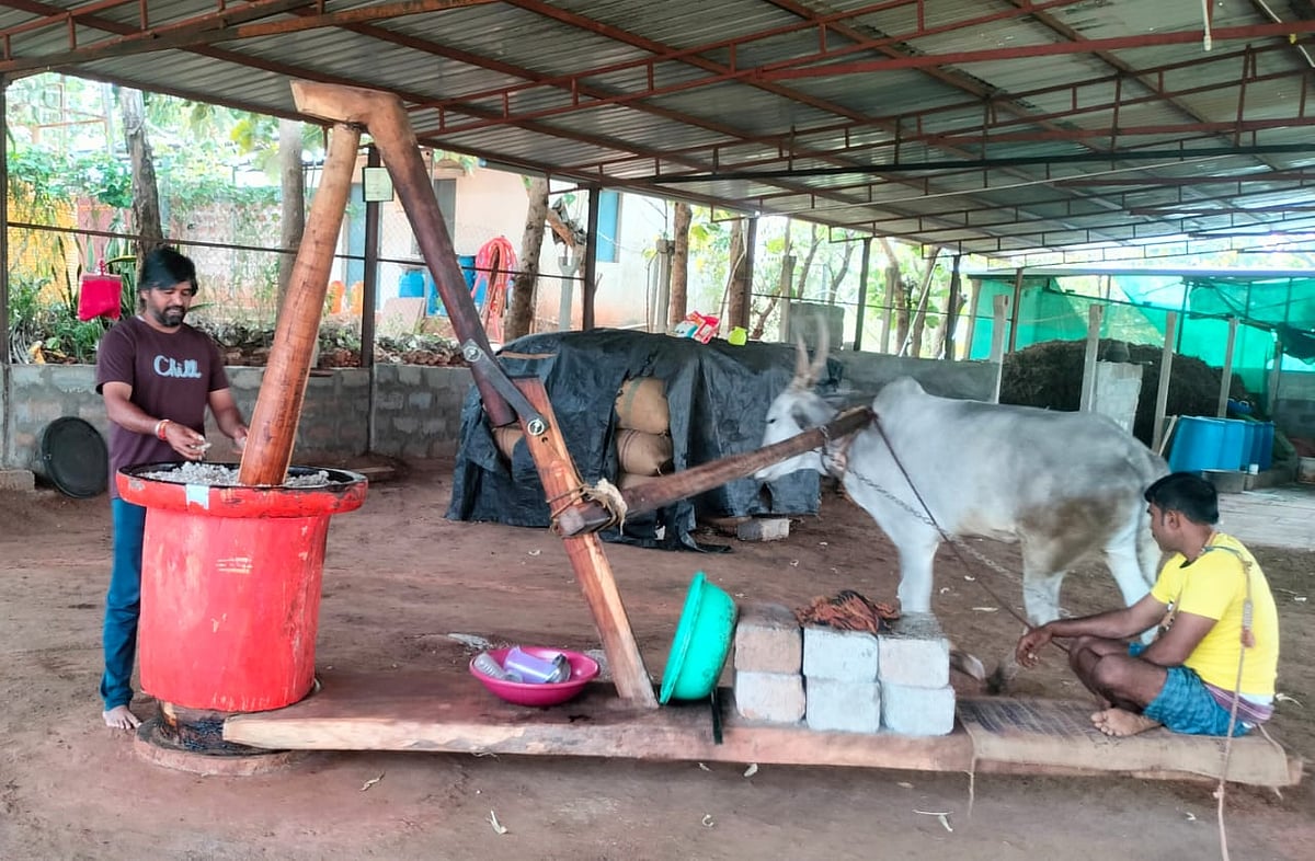 ಲಕ್ಷ್ಮೇಶ್ವರ | ಸಮಗ್ರ ಕೃಷಿ: ಯುವ ರೈತನ ಸಾಧನೆ