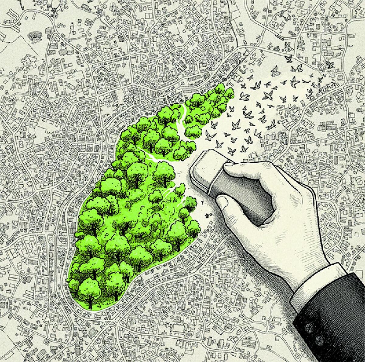 ಸಂಪಾದಕೀಯ | ಜೀವವೈವಿಧ್ಯ ತಾಣ ರದ್ದು ನಿರ್ಧಾರ ಜನವಿರೋಧಿ, ಪರಿಸರಕ್ಕೆ ಮಾರಕ