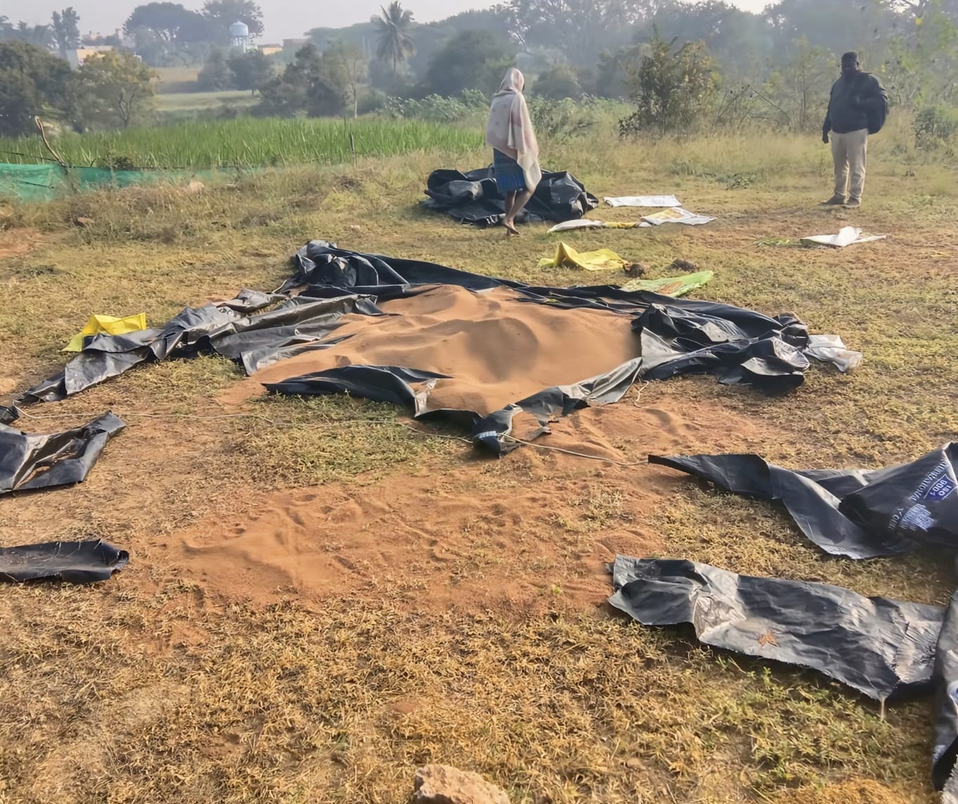 ನಾಶವಾಗಿರುವ ರಾಗಿ ರಾಶಿ 