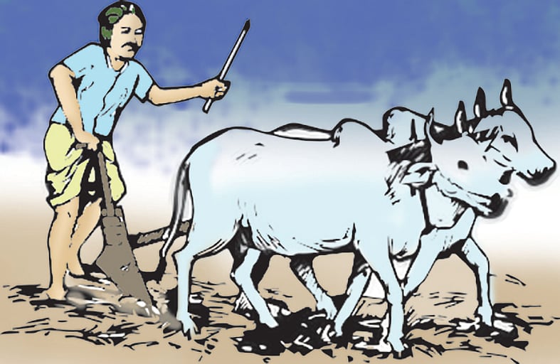 FPO Extension | ಎಫ್‌ಪಿಒ: ಐದು ವರ್ಷ ವಿಸ್ತರಣೆ