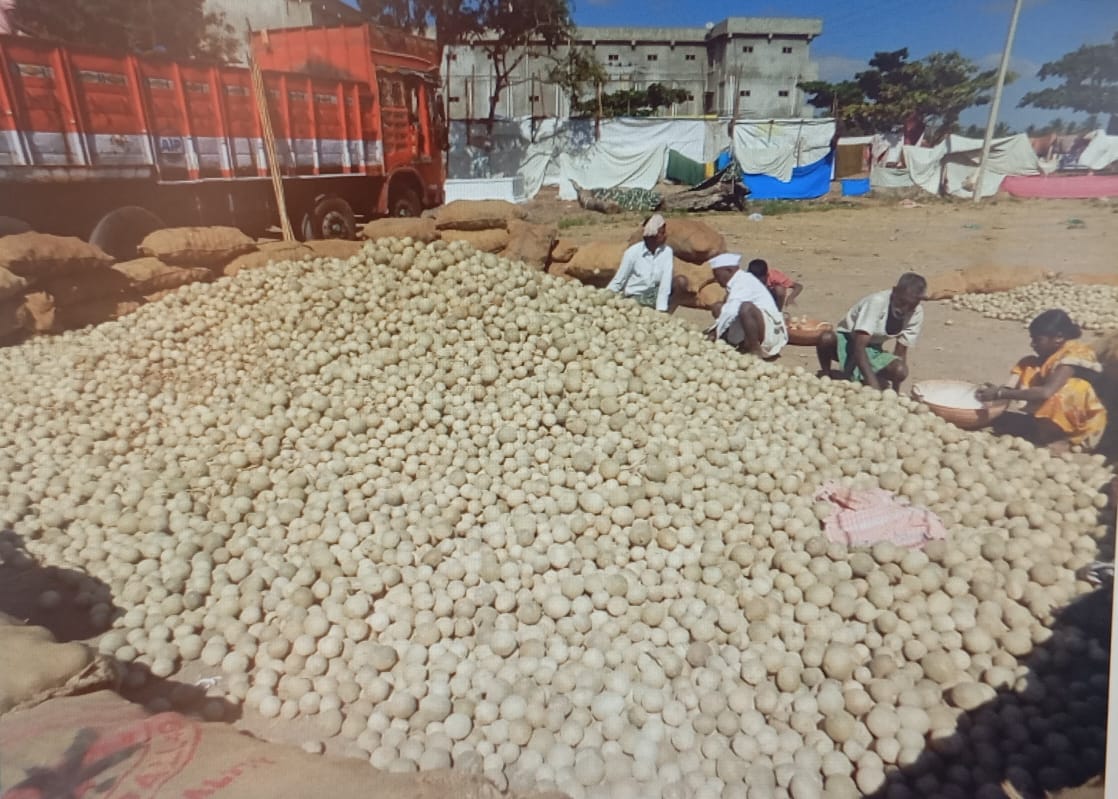 ಕಳೆದ ವರ್ಷದ ಜಾತ್ರೆಯಲ್ಲಿದ್ದ ಬೇಲದ ಹಣ್ಣುಗಳ ರಾಶಿ
ಚಿತ್ರ: ಡಾ. ಕಿರಣ್ ಕುಮಾರ್