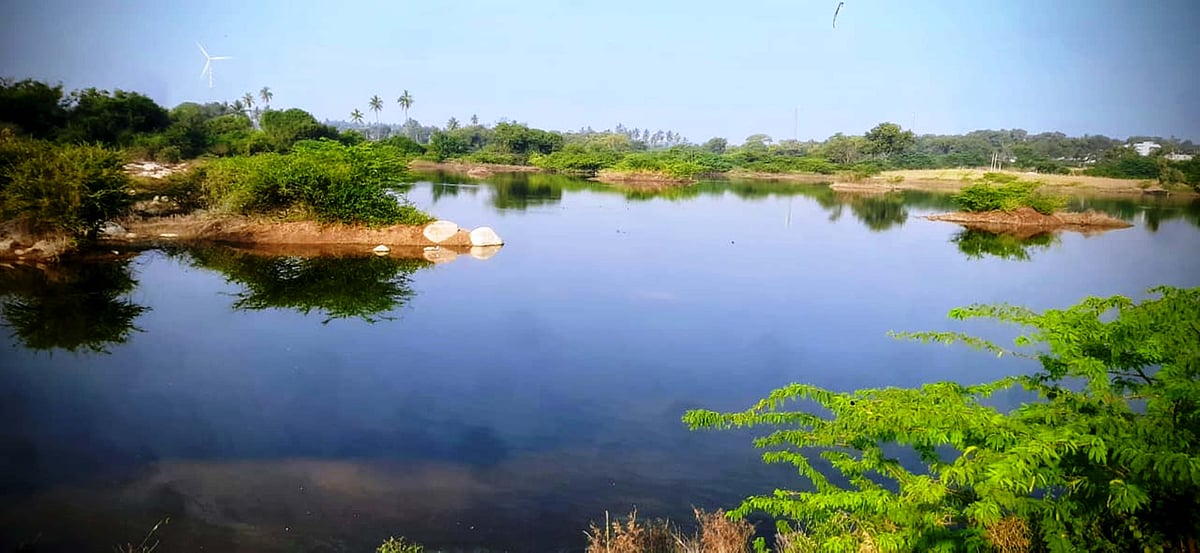 ಕುಷ್ಟಗಿ: ಸಹಜ ಸೌಂದರ್ಯದ ಗುಮಗೇರಿ ಕೆರೆ; ಪರಿಸರ ಪಾಠಕ್ಕೆ ಹೇಳಿ ಮಾಡಿಸಿದ ತಾಣ