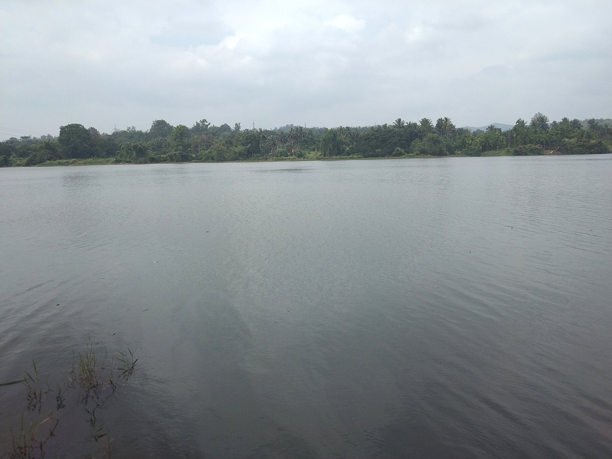 ನರಸಿಂಹರಾಜಪುರ | ಅಮೃತ್ 2.0 ಯೋಜನೆ: ₹17.50 ಕೋಟಿ ಬಿಡುಗಡೆ