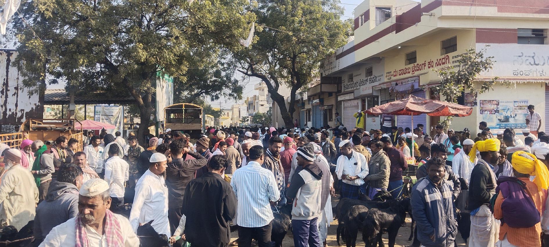 ಸಿಂದಗಿ ಪಟ್ಟಣದ ಕೃಷಿ ಉತ್ಪನ್ ಮಾರುಕಟ್ಟೆ ಆವರಣದ ಮುಖ್ಯಧ್ವಾರದಲ್ಲಿ ರಸ್ತೆಯಲ್ಲಿಯೇ ಕುರಿಗಳ ಸಂತೆ