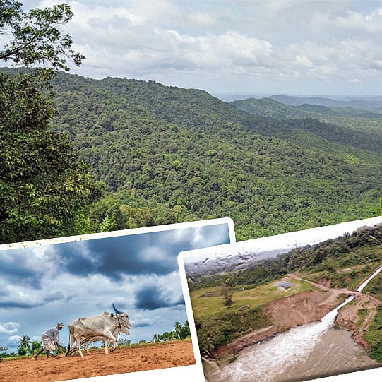 ಸಂಗತ | ಸಹ್ಯಾದ್ರಿ: ಅಭಿವೃದ್ಧಿ ಪ್ರವಾಹ ಕೊನೆಗೊಳ್ಳಲಿ