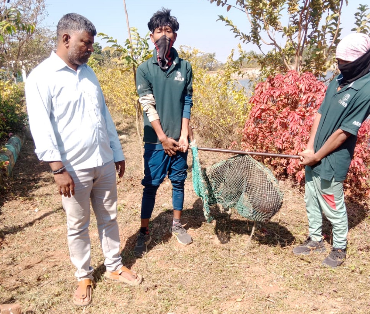 ದಾವಣಗೆರೆ ನಗರದ ಕುಂದವಾಡ ಕೆರೆಯ ಸಮೀಪ ಶನಿವಾರ ಬೀದಿ ನಾಯಿಯೊಂದನ್ನು ಸೆರೆಹಿಡಿದ ಸಿಬ್ಬಂದಿ