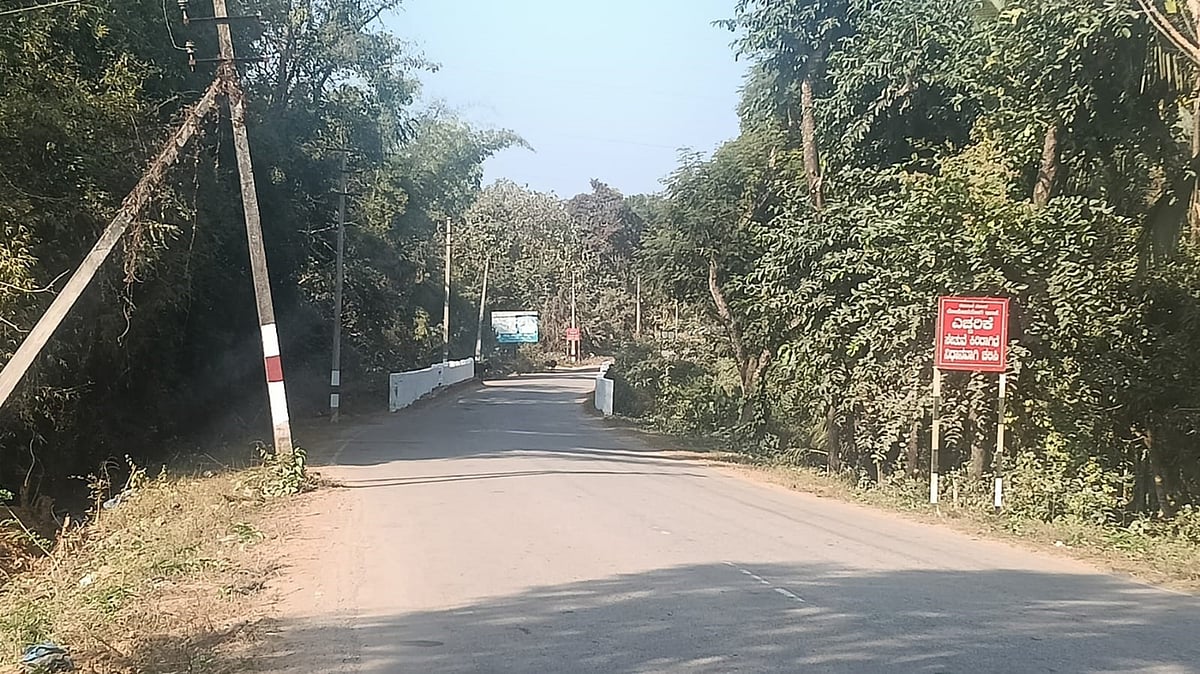 ಚಿಕ್ಕಮಗಳೂರು: ಸುರಕ್ಷತೆ ನಡುವೆ ಅಪಘಾತ ನಿರಂತರ