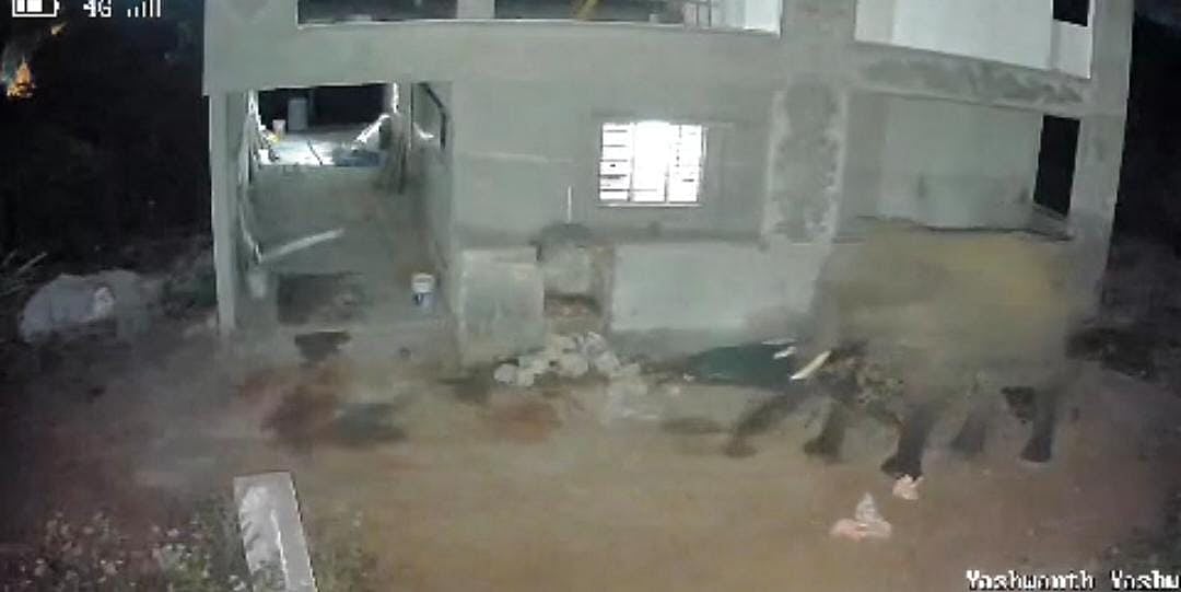 ಆನೇಕಲ್: ರಾತ್ರಿ ಮನೆ ಬಳಿ ಬಂದ ಕಾಡಾನೆ!