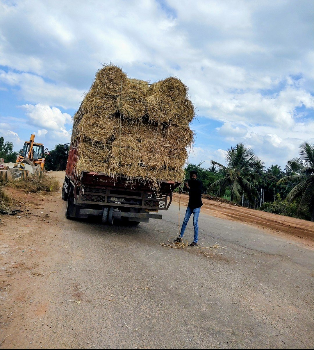 ಗುಬ್ಬಿ: ಒಣ ರಾಗಿ ಹುಲ್ಲಿಗೆ ಹೆಚ್ಚುತ್ತಿದೆ ಬೇಡಿಕೆ