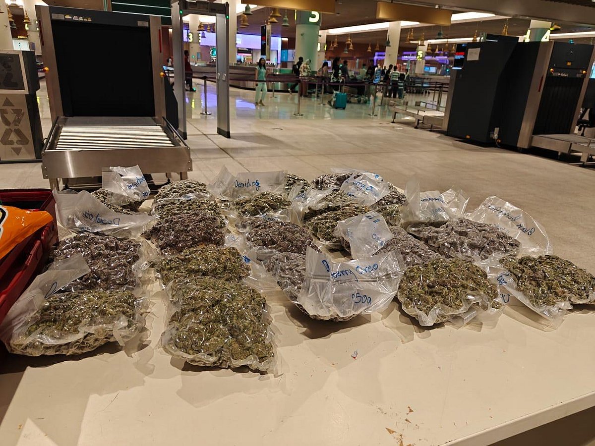 Bengaluru Airport: ಬೆಂಗಳೂರು ವಿಮಾನ ನಿಲ್ದಾಣದಲ್ಲಿ ₹11ಕೋಟಿ ಮೌಲ್ಯದ ಗಾಂಜಾ ವಶ