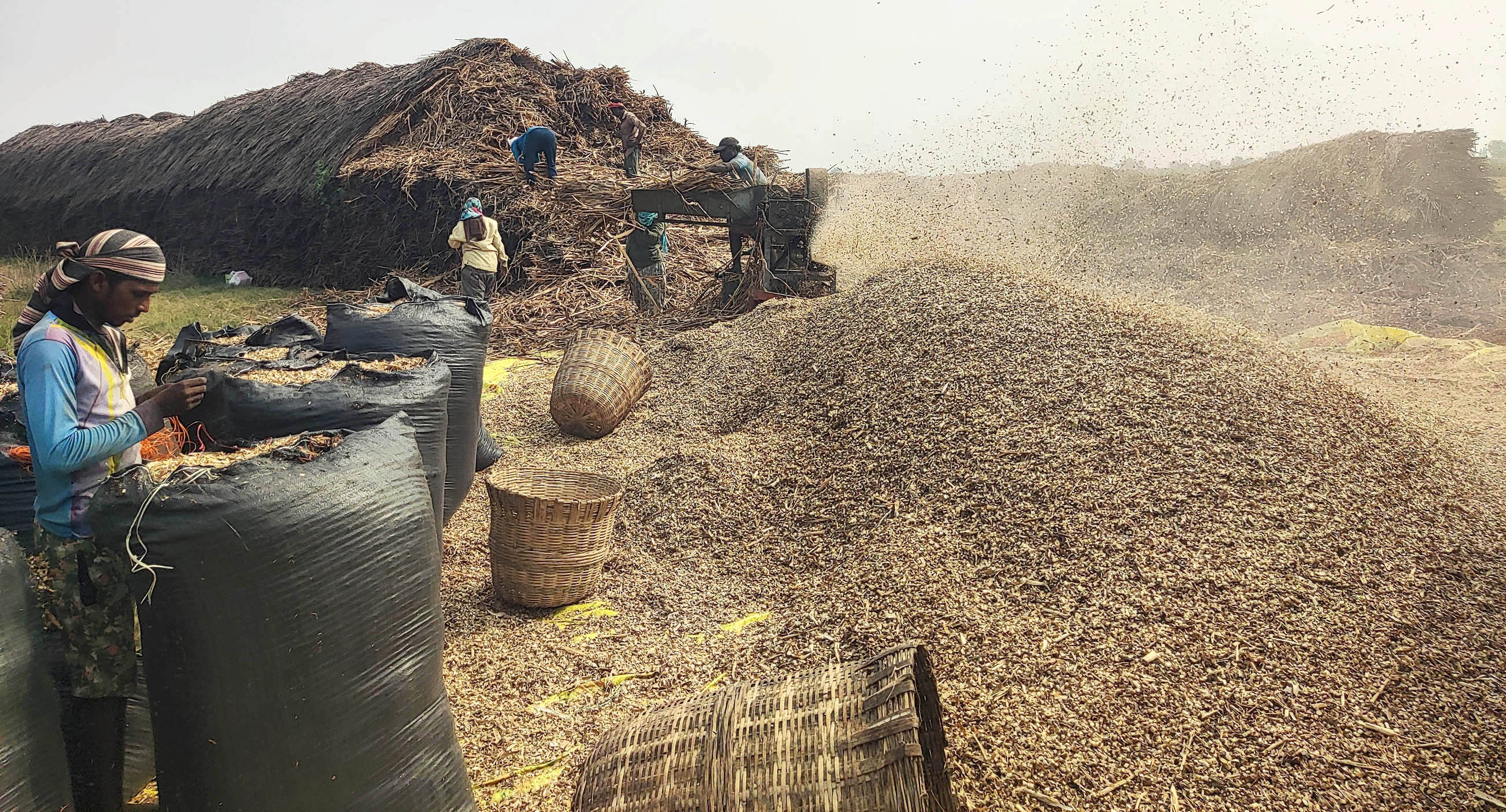 ಕಂಪ್ಲಿ ತಾಲ್ಲೂಕು ಎಮ್ಮಿಗನೂರು ಗ್ರಾಮದ ಹೊರ ವಲಯದಲ್ಲಿ ಜೋಳದ ಹೊಟ್ಟನ್ನು ಚೀಲಕ್ಕೆ ತುಂಬುತ್ತಿರುವ ದೃಶ್ಯ