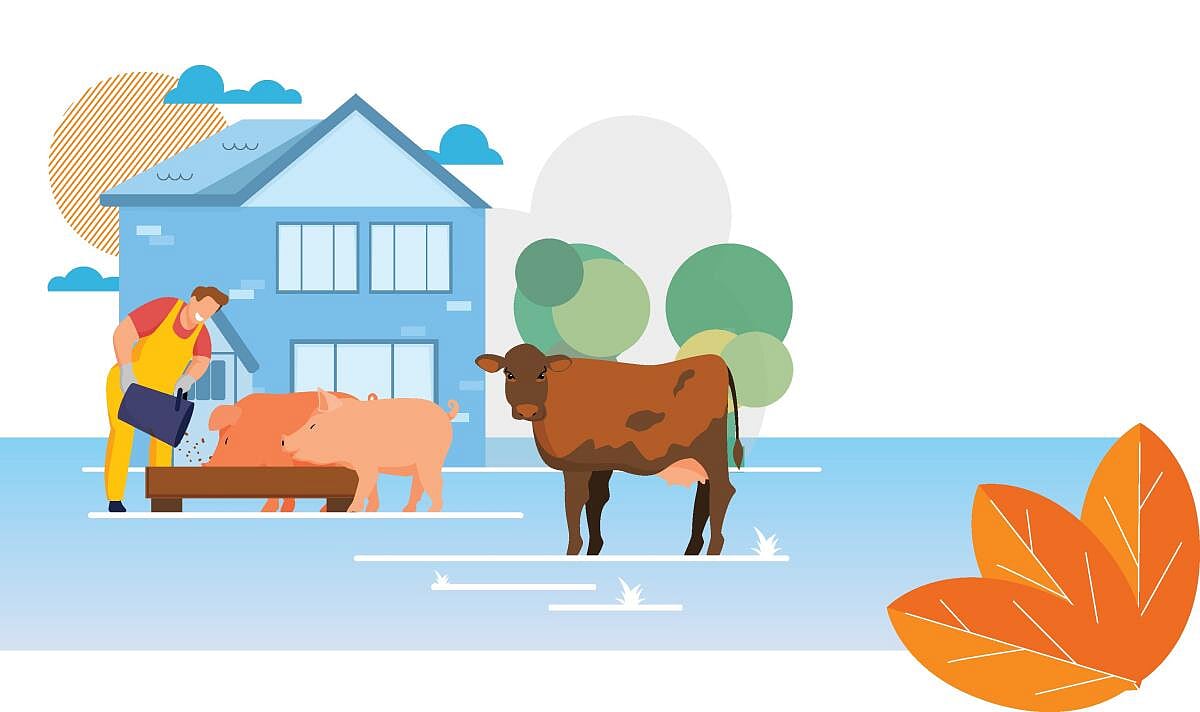 ತಂತ್ರಜ್ಞಾನ: ಪಶುಸಂಗೋಪನೆಗೂ ಬಂತು ಕೃತಕ ಬುದ್ಧಿಮತ್ತೆ 