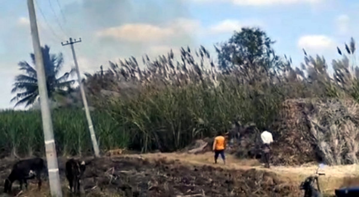 ಶಾರ್ಟ್ ಸರ್ಕೀಟ್: ಕಬ್ಬಿನ ತಾಕಿಗೆ ಬೆಂಕಿ