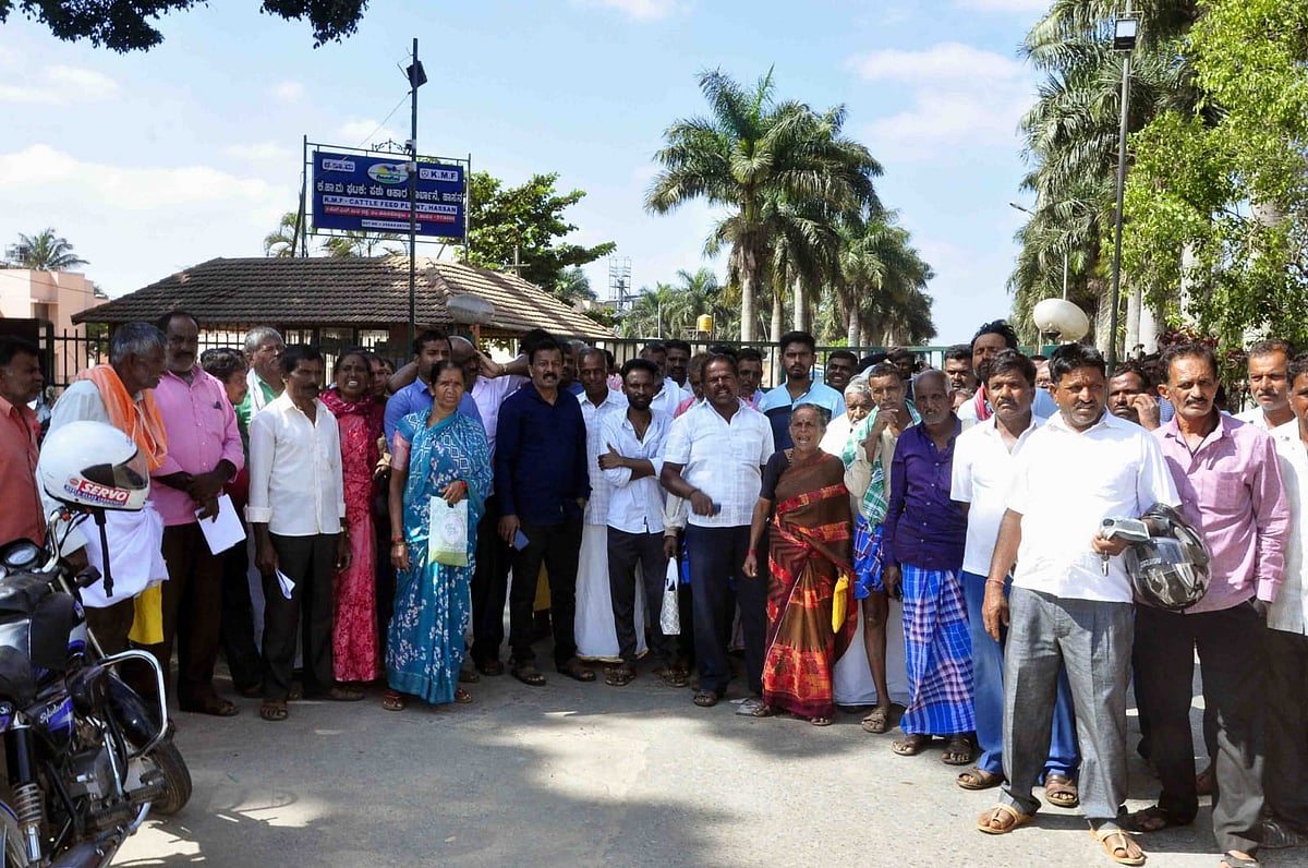 ರೈತರಿಂದಲೇ ನೇರ ಮೆಕ್ಕೆಜೋಳ ಖರೀದಿಗೆ ಒತ್ತಾಯ