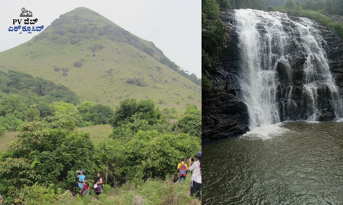 ಕೊಡಗು: ಪ್ರವಾಸಿಗರನ್ನು ಸೆಳೆಯುತ್ತಿವೆ ಹಸಿರು ಹೊದ್ದ ಬೆಟ್ಟಗಳು