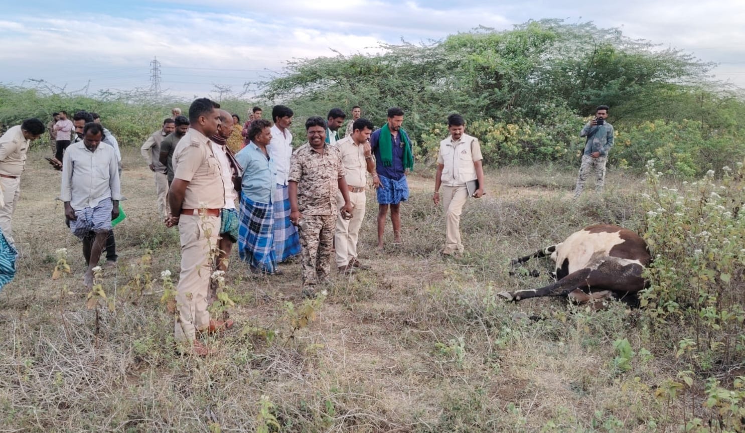 ಬಂಡೀಪುರ ಹುಲಿ ಸಂರಕ್ಷಿತ ಪ್ರದೇಶದ ಗುಂಡ್ಲುಪೇಟೆ ಬಫರ್ ವಲಯ ವ್ಯಾಪ್ತಿಯ ಮೂಡುಗೂರು ಗ್ರಾಮದಲ್ಲಿ ಹುಲಿ ದಾಳಿಯಿಂದ ಹಸು ಸಾವಪ್ಪಿದ ಹಿನ್ನಲೆ ಅರಣ್ಯಾಧಿಕಾರಿಗಳು ಭೇಟಿ ನೀಡಿ ಪರಿಶೀಲನೆ ನಡೆಸಿದರು.