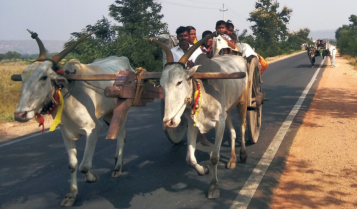 ಎಳ್ಳು ಅಮವಾಸ್ಯೆ | ಭೂತಾಯಿಗೆ ಪೂಜೆ: ಸಂಭ್ರಮದ ಹಬ್ಬ 