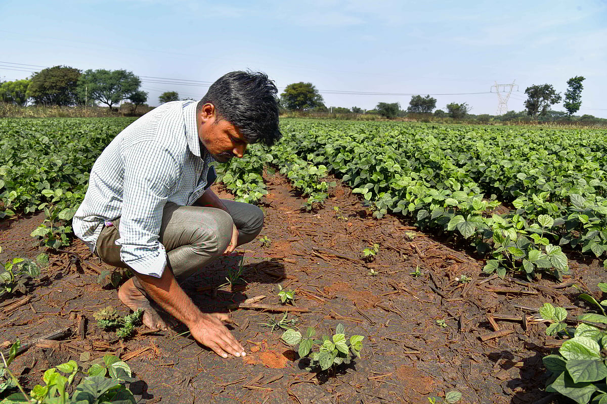 ಕೊಪ್ಪಳ | ಕಾರ್ಖಾನೆಗಳ ಕಪ್ಪು ದೂಳಿನ ಕಣ; ಗ್ರಾಮಗಳ ಜನರ ಬದುಕು ನಿತ್ಯ ನರಳಾಟ