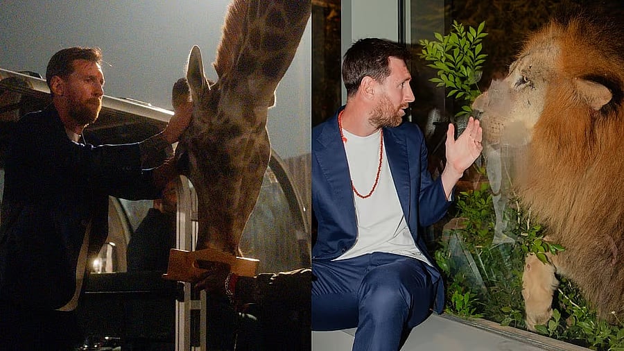 ಅನಂತ್ ಅಂಬಾನಿ ಒಡೆತನದ ವನತಾರಗೆ ಭೇಟಿ ನೀಡಿದ ಫುಟ್‌ಬಾಲ್ ದಿಗ್ಗಜ ಮೆಸ್ಸಿ