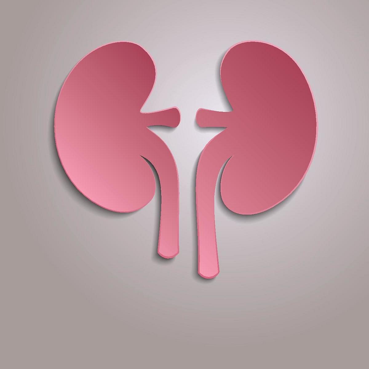 ಮಹಾರಾಷ್ಟ್ರ: ಸಾಲ ತೀರಿಸಲು ರೈತನ ಮೂತ್ರಪಿಂಡ ಮಾರಾಟ