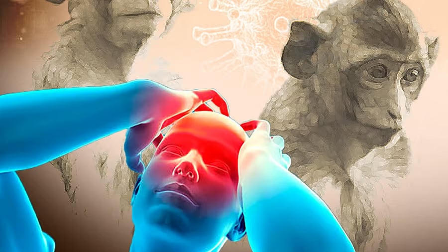 ಮಂಗನ ಕಾಯಿಲೆ ಉಲ್ಬಣ: ಅರಣ್ಯಕ್ಕೆ ಹೋಗುವ ಮುನ್ನ ಇರಲಿ ಎಚ್ಚರ