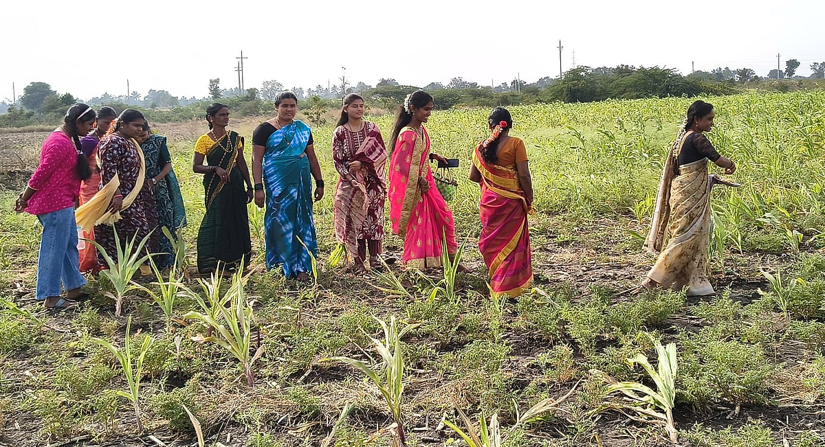 ಭೂತಾಯಿಗೆ ಚರಗ ಚೆಲ್ಲಿದ ರೈತರು