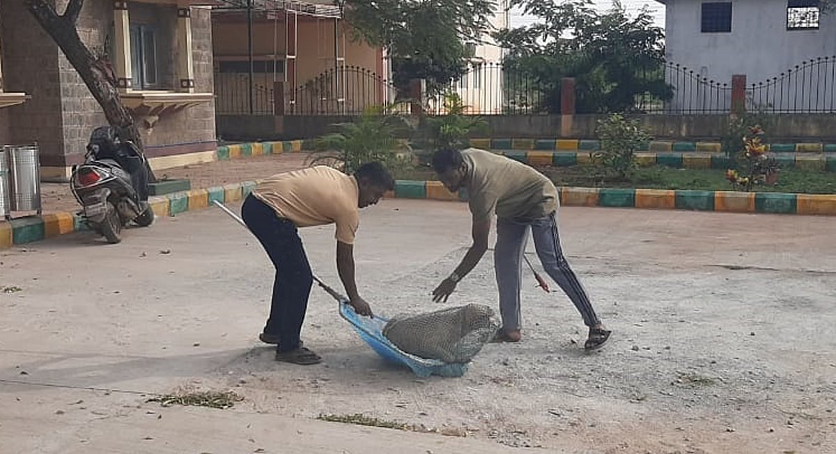 ಬೀದಿನಾಯಿ ಸೆರೆ ಕಾರ್ಯಾಚರಣೆ ಆರಂಭ