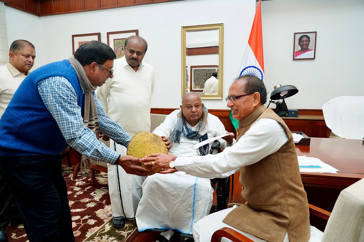 ಹುಣಸೆ, ಹಲಸು, ನೇರಳೆಗೆ ರಾಷ್ಟ್ರೀಯ ಮಂಡಳಿ 