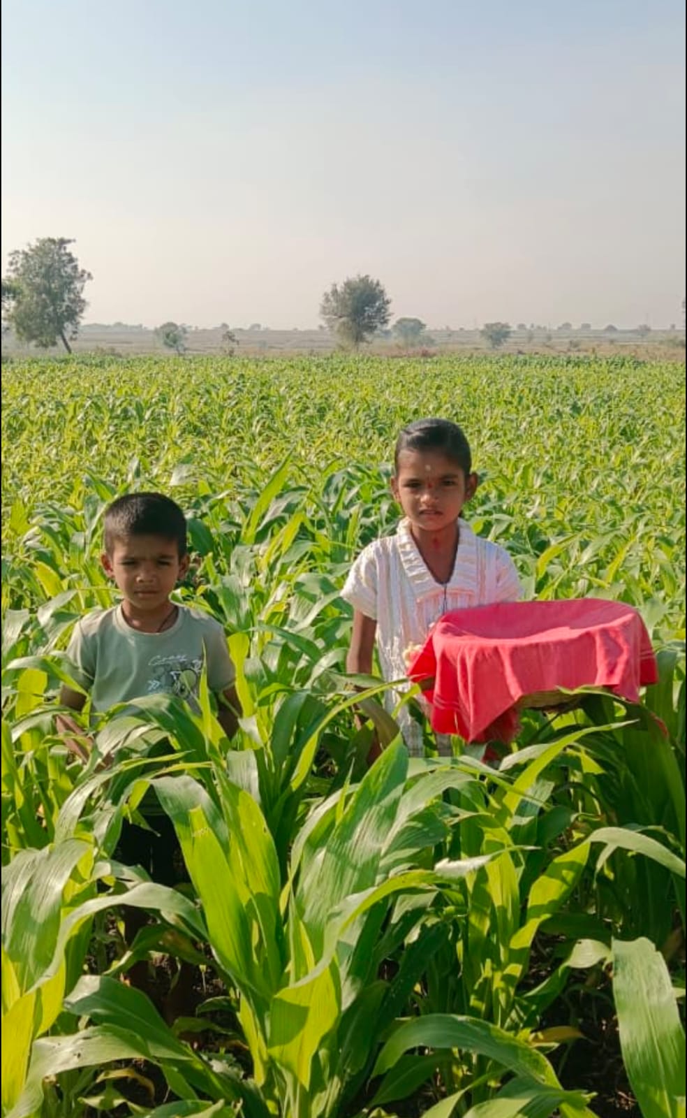 ಸಿರವಾರ : ಸಿರವಾರದಲ್ಲಿ ರೈತ ಎಳ್ಳ ಅಮವಾಸ್ಯೆ ಅಂಗವಾಗಿ ಜಮೀನಿನಲ್ಲಿ ನೈವೇದ್ಯವನ್ನು ಚರಗ ಚಲ್ಲುವ ಮೂಲಕ ಭೂತಾಯಿಗೆ ಸಮರ್ಪಿಸಲಾಯಿತು
