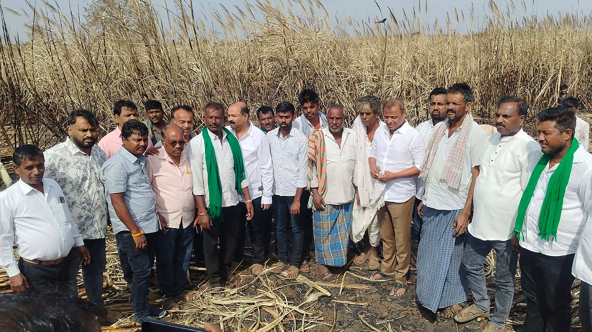 ಕಬ್ಬಿಗೆ ಬೆಂಕಿ | ಪರಿಹಾರ ನೀಡಿ: ಬಿಜೆಪಿ ಮುಖಂಡ ನಾಗರಾಜ ಛಬ್ಬಿ ಆಗ್ರಹ