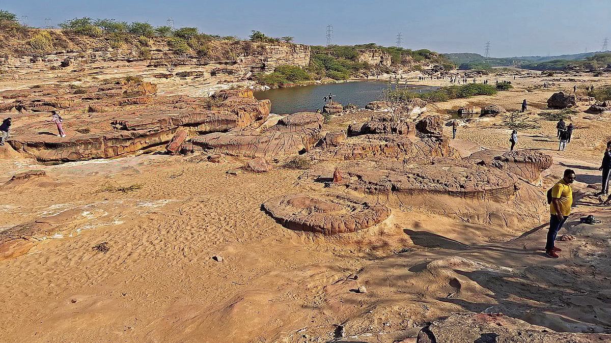 ಪ್ರವಾಸ: ಗುಜರಾತಿನ ಮೌನ ಕಣಿವೆಯ ಅದ್ಭುತ ಯಾನ