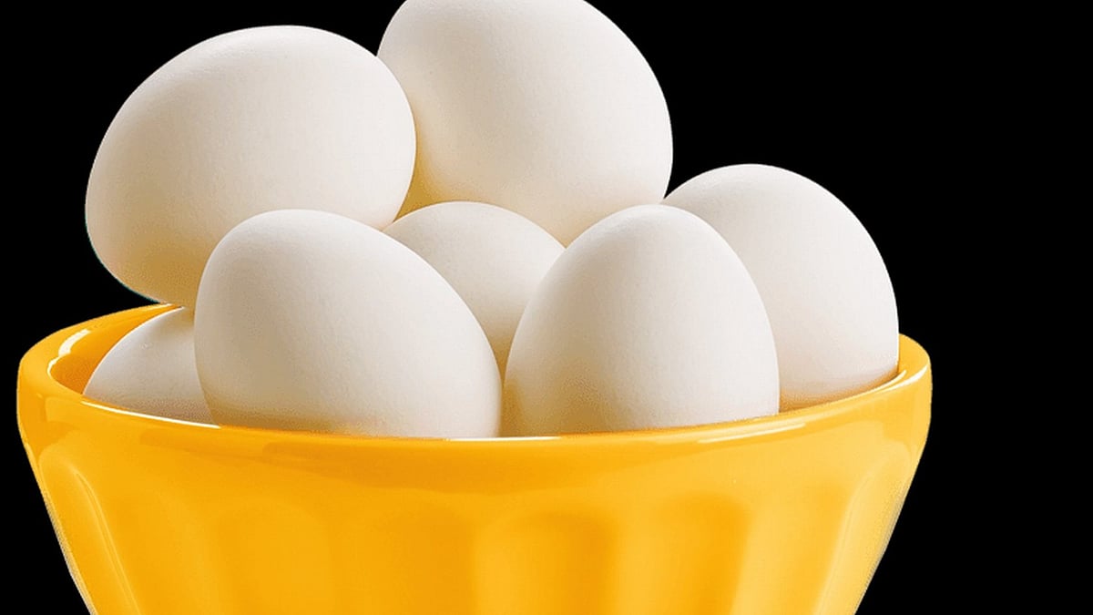 ಹುಣಸಗಿ: ಮೊಟ್ಟೆ ಖರೀದಿಗೆ  ₹ 1.39 ಕೋಟಿ ಬಿಡಗಡೆ