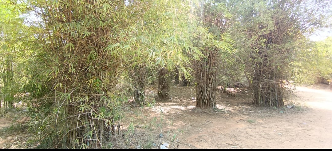 ಗಂಗ–ಚೋಳರ ಕಾಲದ ಕೆರೆಗೆ ಬೇಕಿದೆ ಕಾಯಕಲ್ಪ: ಪ್ರವಾಸಿ ತಾಣವಾಗಿ ರೂಪಿಸಲು ಒತ್ತಾಯ