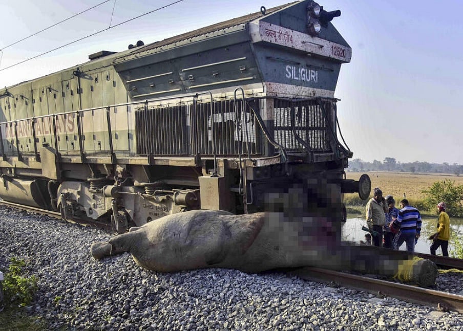ಅಸ್ಸಾಂನಲ್ಲಿ ಎಕ್ಸ್‌ಪ್ರೆಸ್‌ ರೈಲು ಡಿಕ್ಕಿ: ಗಾಯಗೊಂಡಿದ್ದ ಮತ್ತೊಂದು ಆನೆಯೂ ಸಾವು