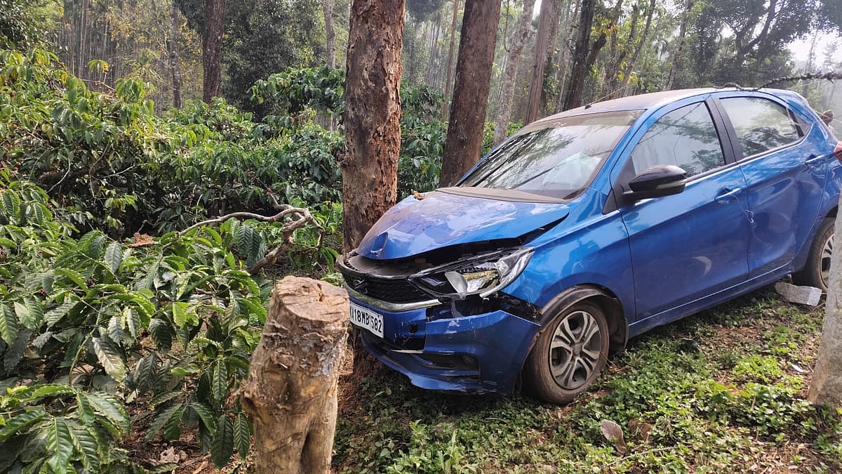 ಕಳಸ: ಕಾಡುಕೋಣ ಕಂಡು ಮರಕ್ಕೆ ಗುದ್ದಿದ ಕಾರು