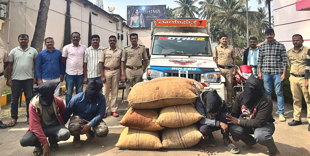 ನರಸಿಂಹರಾಜಪುರ| ಅಡಿಕೆ ದರೋಡೆ ಪ್ರಕರಣ: ನಾಲ್ವರ ಬಂಧನ