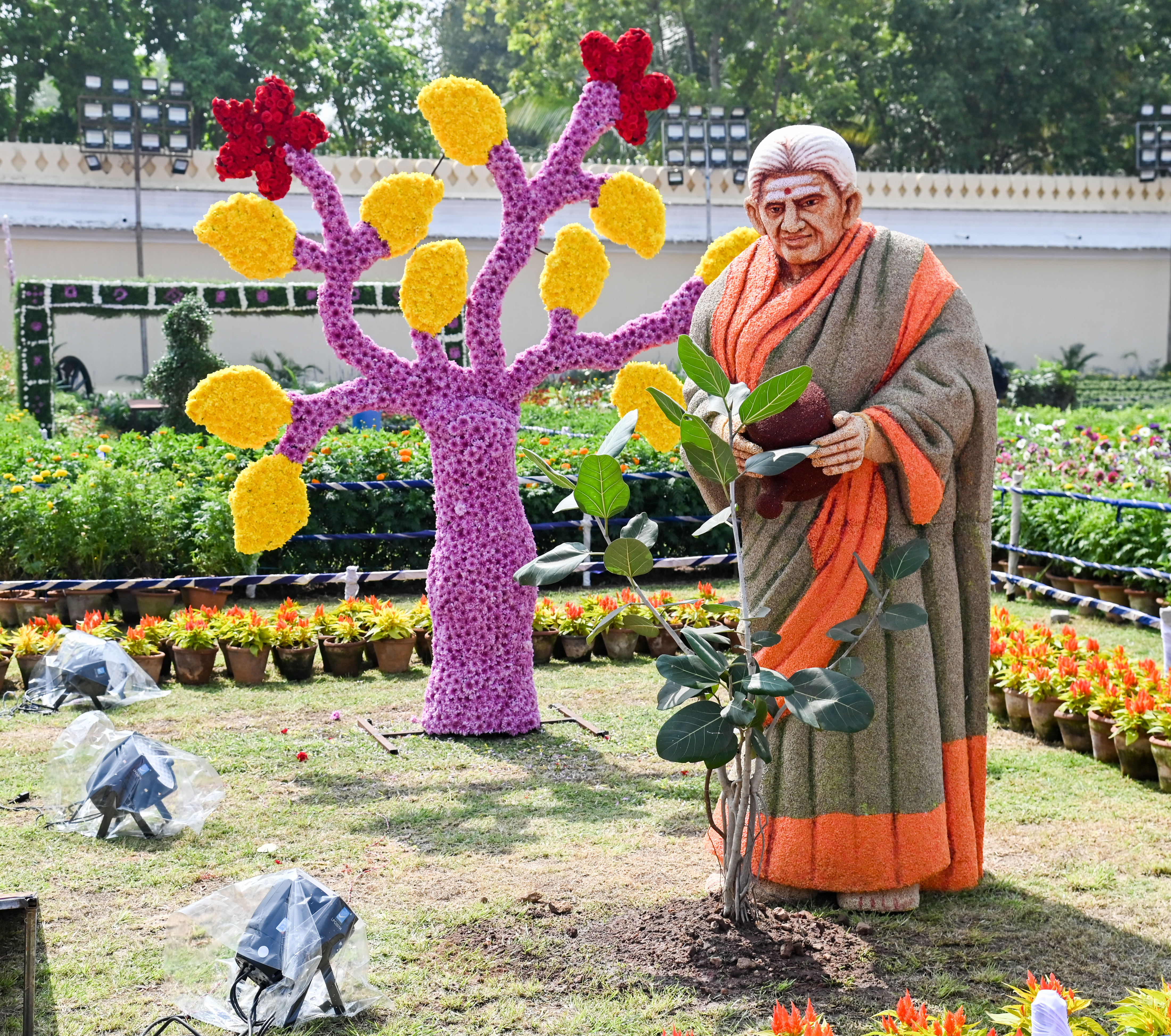 ಸಿರಿಧಾನ್ಯದಿಂದ ಮಾಡಿದ ಸಾಲುಮರದ ತಿಮ್ಮಕ್ಕ ಮಾದರಿ