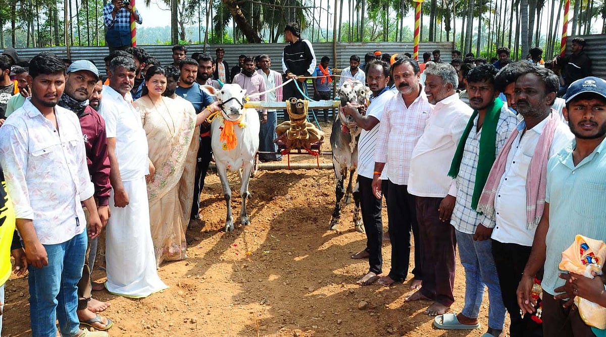 ಮಂಡ್ಯ: ರಾಜ್ಯಮಟ್ಟದ ಚಕ್ಕಡಿ ಓಟ ಸ್ಪರ್ಧೆಗೆ ಚಾಲನೆ 