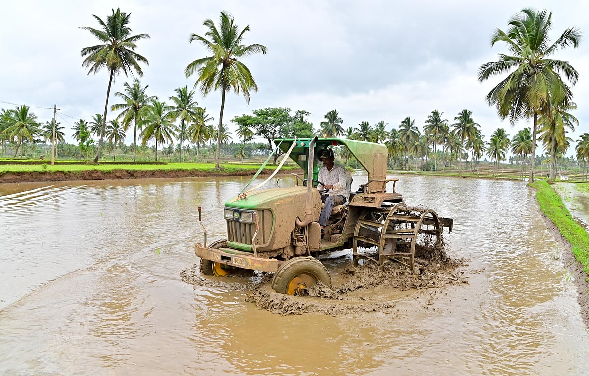 ಇಂದು ರೈತರ ದಿನ: ಅನ್ನದಾತರ ಅಭಿವೃದ್ಧಿಗೆ ಸಿಗಲಿ ಆದ್ಯತೆ