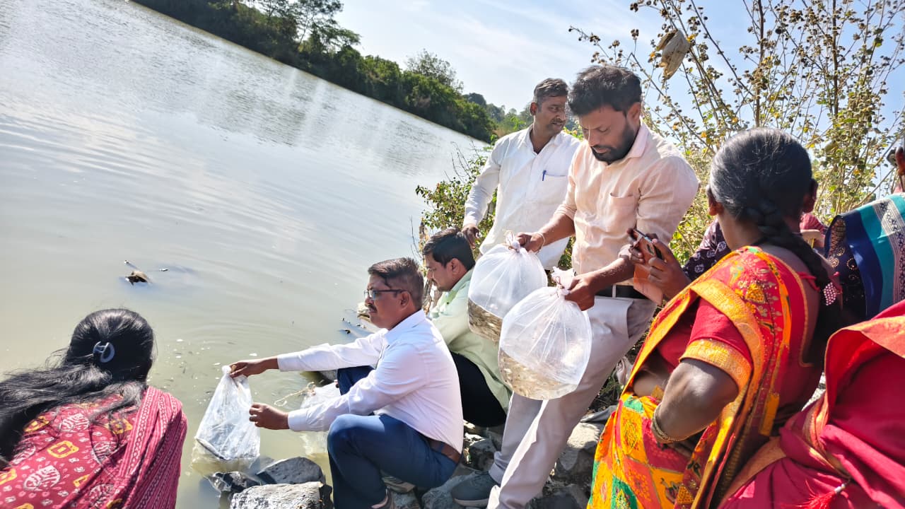 ಆಳಂದ ತಾಲ್ಲೂಕಿನ ಮುನ್ನೋಳ್ಳಿ ಕೆರೆಯಲ್ಲಿ ಮೀನು ಬಿತ್ತನೆ ಕಾರ್ಯ ಕೈಗೊಳ್ಳಲಾಯಿತು