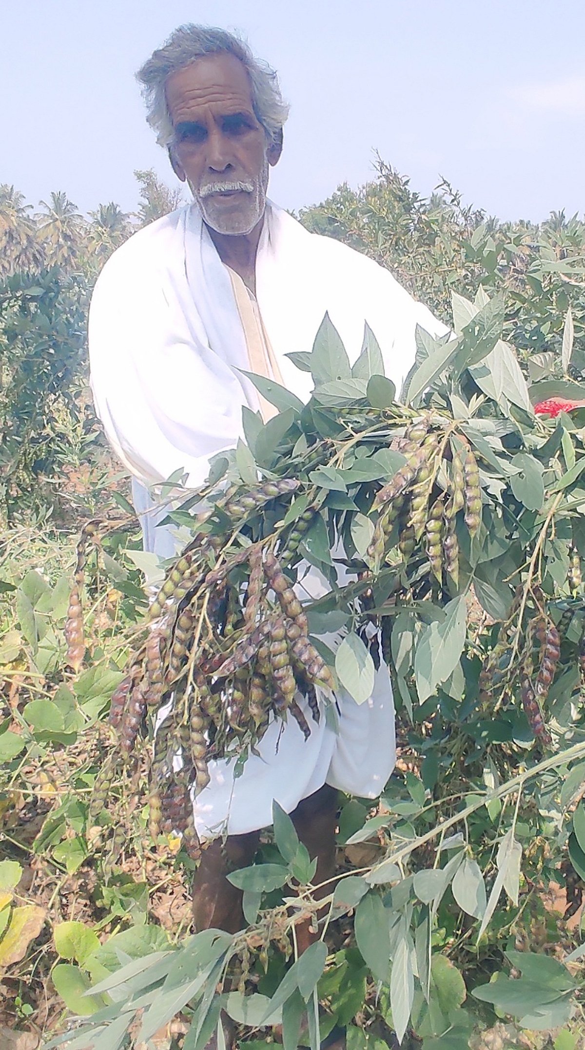 ನೇರ ಮಾರುಕಟ್ಟೆಯತ್ತ ರೈತರ ಚಿತ್ತ