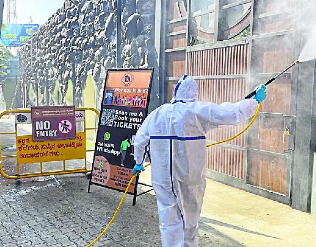 ಮೈಸೂರು| ‘ಗ್ಲ್ಯಾಂಡರ್ಸ್‌’ ಸೋಂಕು: ಝೂನಲ್ಲಿ ನಿಗಾ