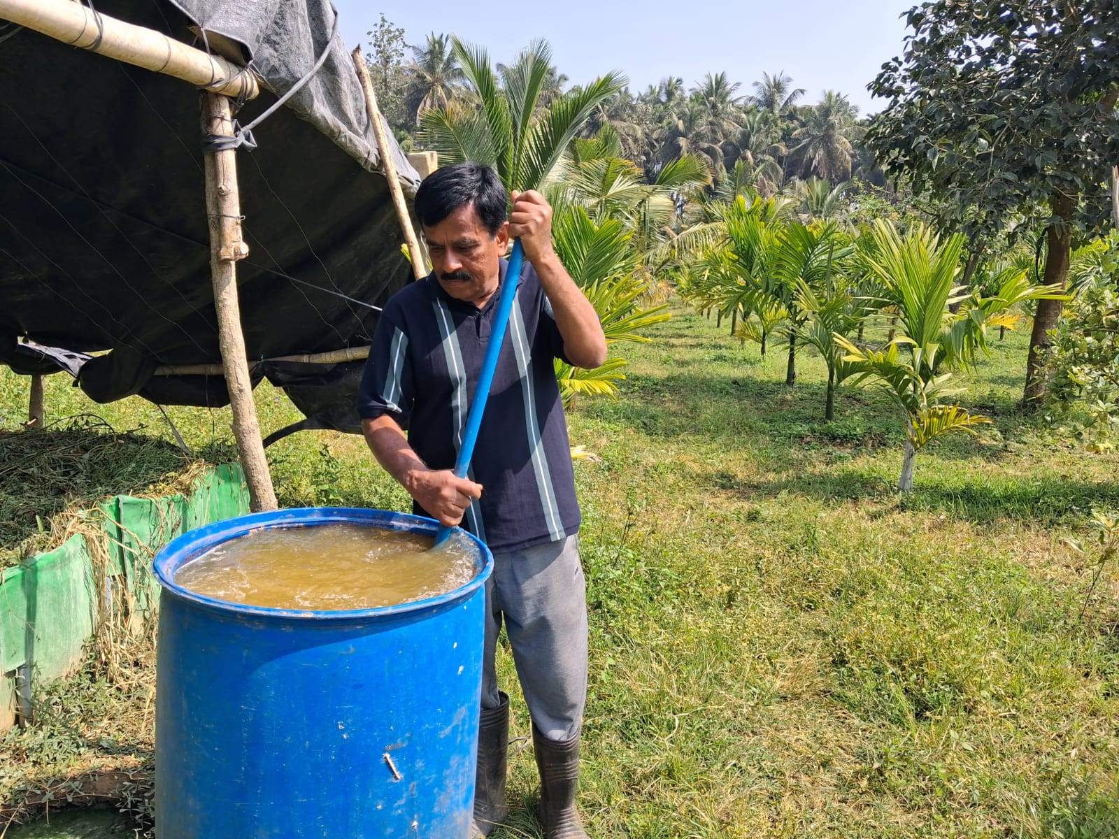 ಹುಣಸೂರು ತಾಲ್ಲೂಕಿನ ಕಿರಿಜಾಜಿ ಗ್ರಾಮ ಪ್ರಗತಿಪರ ರೈತ ಬಾಲಗಂಗಾಧರ್‌ ಜೀವಾಮೃತ ಸಿದ್ಧಪಡಿಸುತ್ತಿರುವುದು