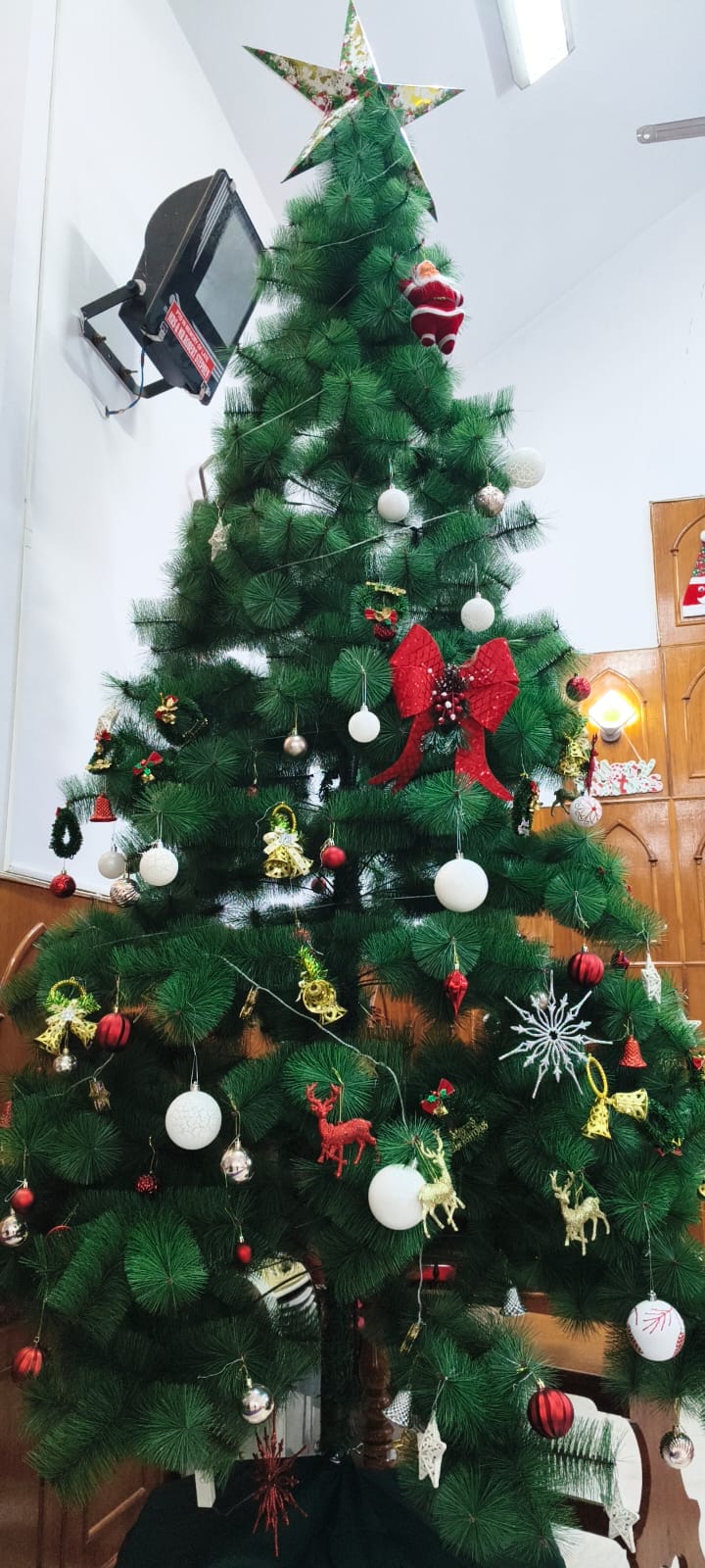 ಅಲಂಕೃತ ಕ್ರಿಸ್‌ಮಸ್‌ ಟ್ರೀ 
