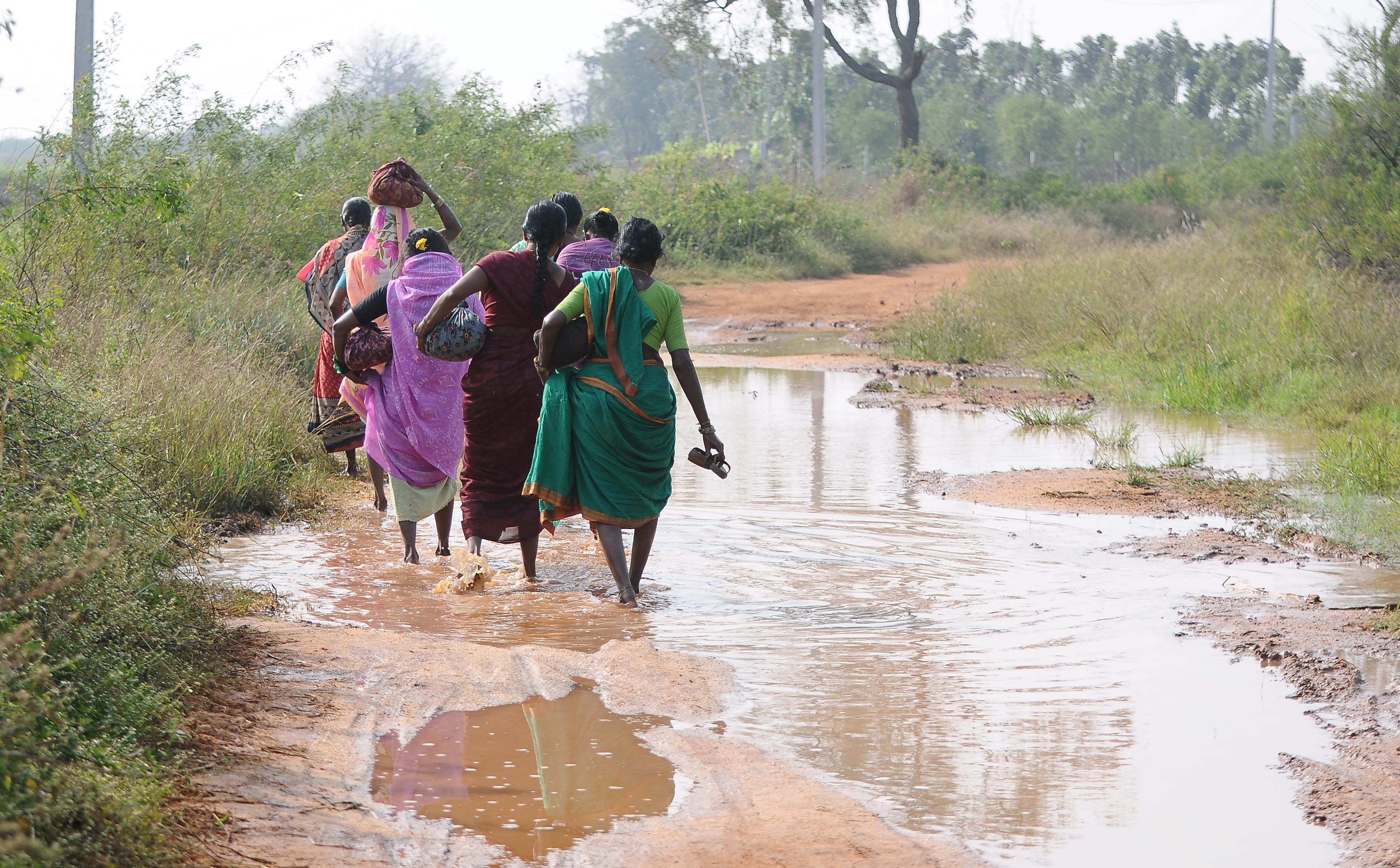 ಅಂಕಸಮುದ್ರ ಪಕ್ಷಿಧಾಮಕ್ಕೆ ತೆರಳುವ ಮಾರ್ಗದಲ್ಲಿ ನೀರು ಸಂಗ್ರಹಗೊಂಡಿರುವುದು