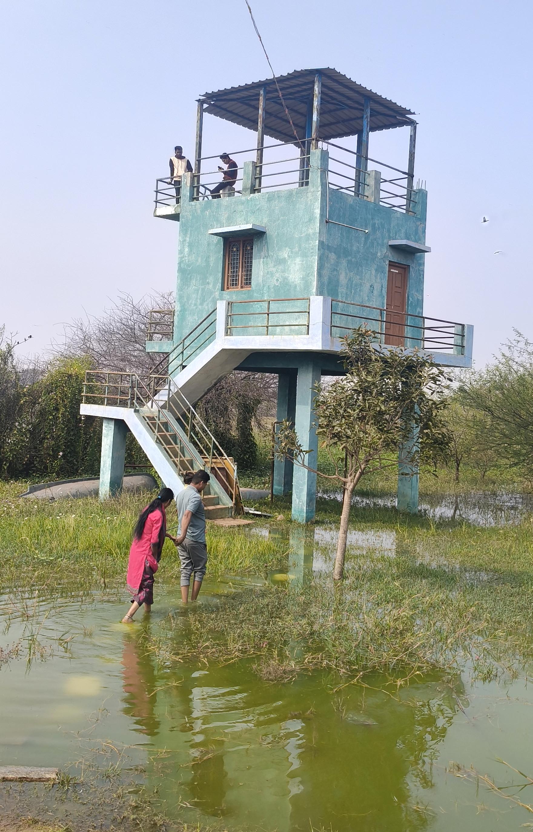 ಪಕ್ಷಿಧಾಮದ ವೀಕ್ಷಣಾ ಗೋಪುರಕ್ಕೆ ತೆರಳುವುದಕ್ಕೆ ಪರದಾಡುತ್ತಿರುವ ಪಕ್ಷಿಪ್ರೇಮಿಗಳು –ಪ್ರಜಾವಾಣಿ ಚಿತ್ರ: ಸಿ.ಶಿವಾನಂದ