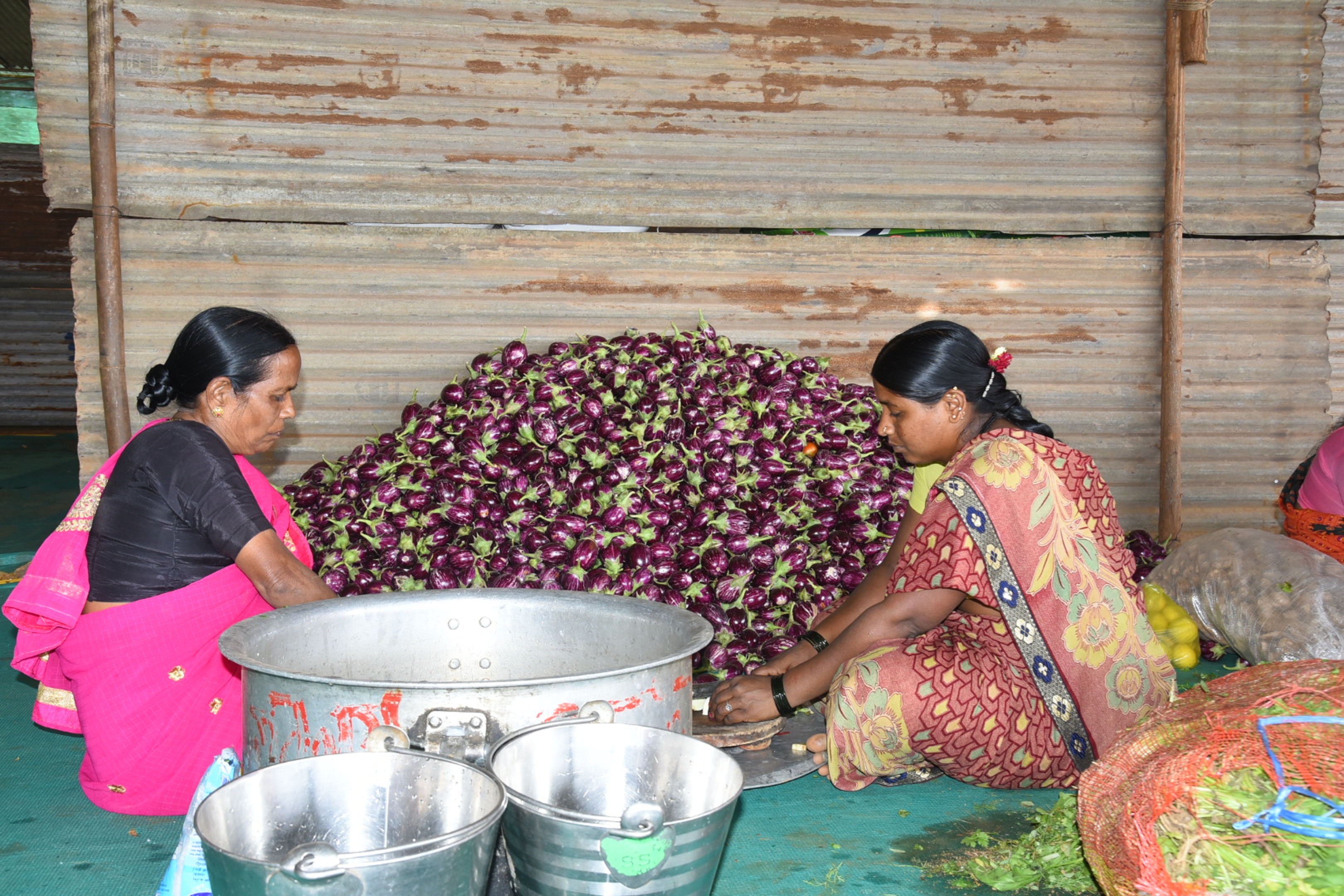 ಹಾವೇರಿ ಜಿಲ್ಲಾ ಕ್ರೀಡಾಂಗಣದಲ್ಲಿ ಭಕ್ತರ ದಾಸೋಹ ಸಿದ್ಧಪಡಿಸಲು ಮಹಿಳೆಯರು ಬದನೆಕಾಯಿಯನ್ನು ಮಂಗಳವಾರ ತುಂಡರಿಸಿದರು