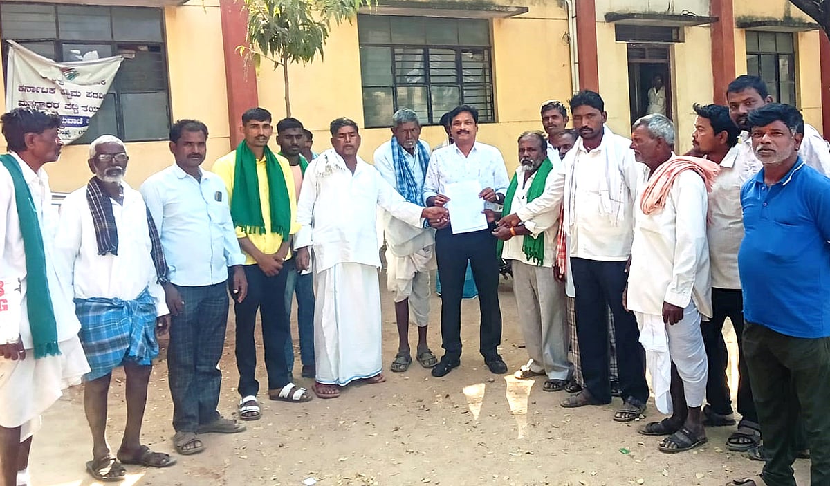 ಆದರಹಳ್ಳಿ: ಹಂದಿಗಳ ಹಾವಳಿ ತಡೆಗೆ ಆಗ್ರಹ 